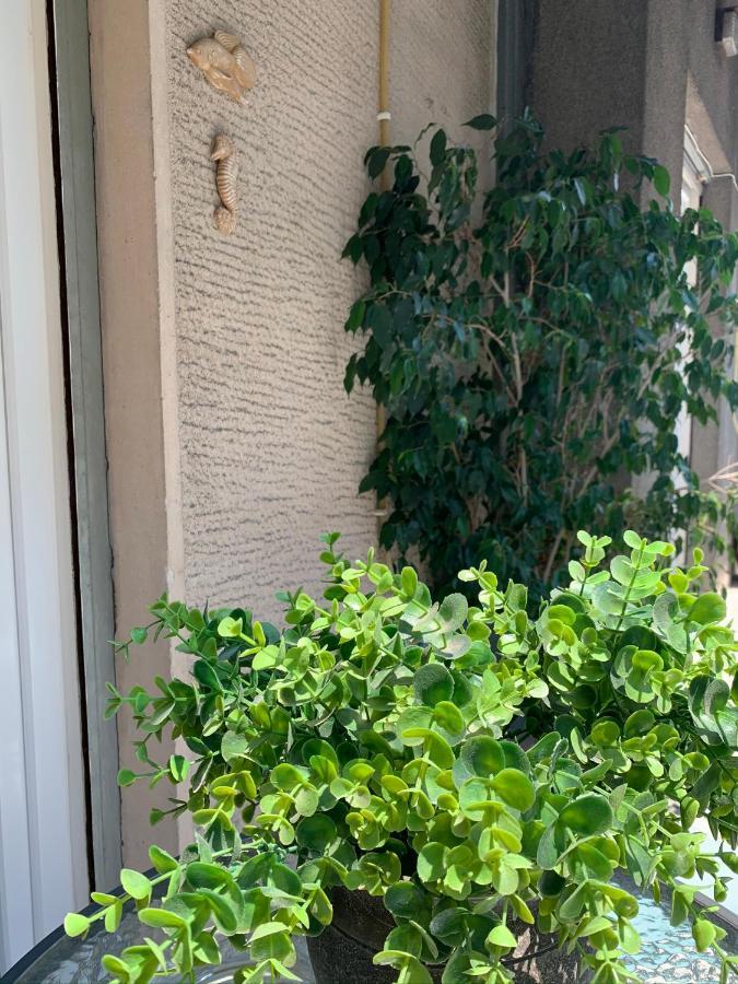 Renovated Cozy Near To Acropolis *